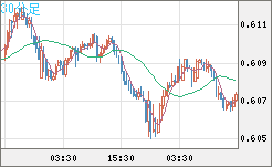 ＮＺドル/米ドルチャート（NZD/USD）30分足